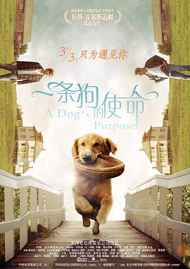 国产在线观看福利一区二区